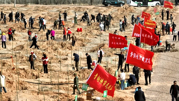 吳忠市開(kāi)展2025年春季義務(wù)植樹(shù)活動(dòng)