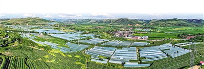     沿河谷川道區(qū)打造冷涼蔬菜產(chǎn)業(yè)帶。