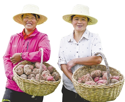 <p>　　去年夏天，在西吉縣紅耀鄉(xiāng)井灣村馬鈴薯種植基地，村民提著剛挖出來的馬鈴薯，臉上洋溢著幸福的笑容。西吉縣是“中國(guó)馬鈴薯之鄉(xiāng)”，全縣農(nóng)民三分之一以上的收入來源于馬鈴薯，馬鈴薯已成為農(nóng)民致富的“金蛋蛋”?！　”緢?bào)記者　黨碩　攝</p>