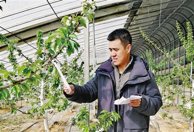 <p><span>　　人物檔案</span></p><br/><p><span><br/><span>　　楊青，永寧縣閩寧鎮(zhèn)黨委副書記、閩寧鎮(zhèn)原隆村黨支部書記</span></span></p><br/><p>　　2018年11月，我被組織安排到閩寧鎮(zhèn)工作，這也讓我有幸見證并參與了閩寧協(xié)作。在閩寧鎮(zhèn)的幾年里，我與福建援寧工作者和閩寧鎮(zhèn)干部群眾攜手攻堅克難，決戰(zhàn)決勝全面建成小康社會、推進鄉(xiāng)村全面振興，我們共同取得了全國脫貧攻堅楷模、時代楷模等榮譽稱號。</p><br/><p>　　目前閩寧鎮(zhèn)基礎(chǔ)設(shè)施完善，村容村貌整潔，移民群眾團結(jié)和睦，社會和諧穩(wěn)定，“村村有產(chǎn)業(yè)、戶戶能致富”，移民人均可支配收入由最初的500元提升到現(xiàn)在的16098元，昔日杳無人煙的“干沙灘”變成百姓富裕的“金沙灘”，移民群眾的獲得感、幸福感、安全感全面提升，大家感恩我們偉大的黨、感謝我們的總書記。</p><br/><p>　　這次全國兩會，我希望代表委員帶去我們的心聲：從政策上聚焦“民富、業(yè)興、人旺、宜居”，推動閩寧鎮(zhèn)產(chǎn)城人融合發(fā)展，讓閩寧對口扶貧協(xié)作為閩寧鎮(zhèn)移民群眾致富賦能添力，讓我們在實現(xiàn)共同富裕的康莊大道上，交出無愧于時代、無愧于人民的答卷。（本報記者　李錦　秦磊　張濤　文/圖）</p><br/><p></p>