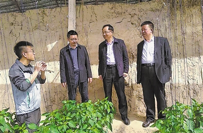 <p>　　（本版圖片均資料圖片）</p><p>　　福建援寧工作隊(duì)干部林其煌（左二）在溫棚里了解情況。</p>