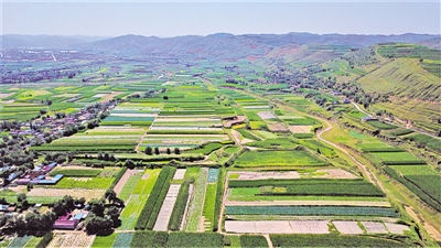 <p>　　火集村蔬菜種植基地。</p>