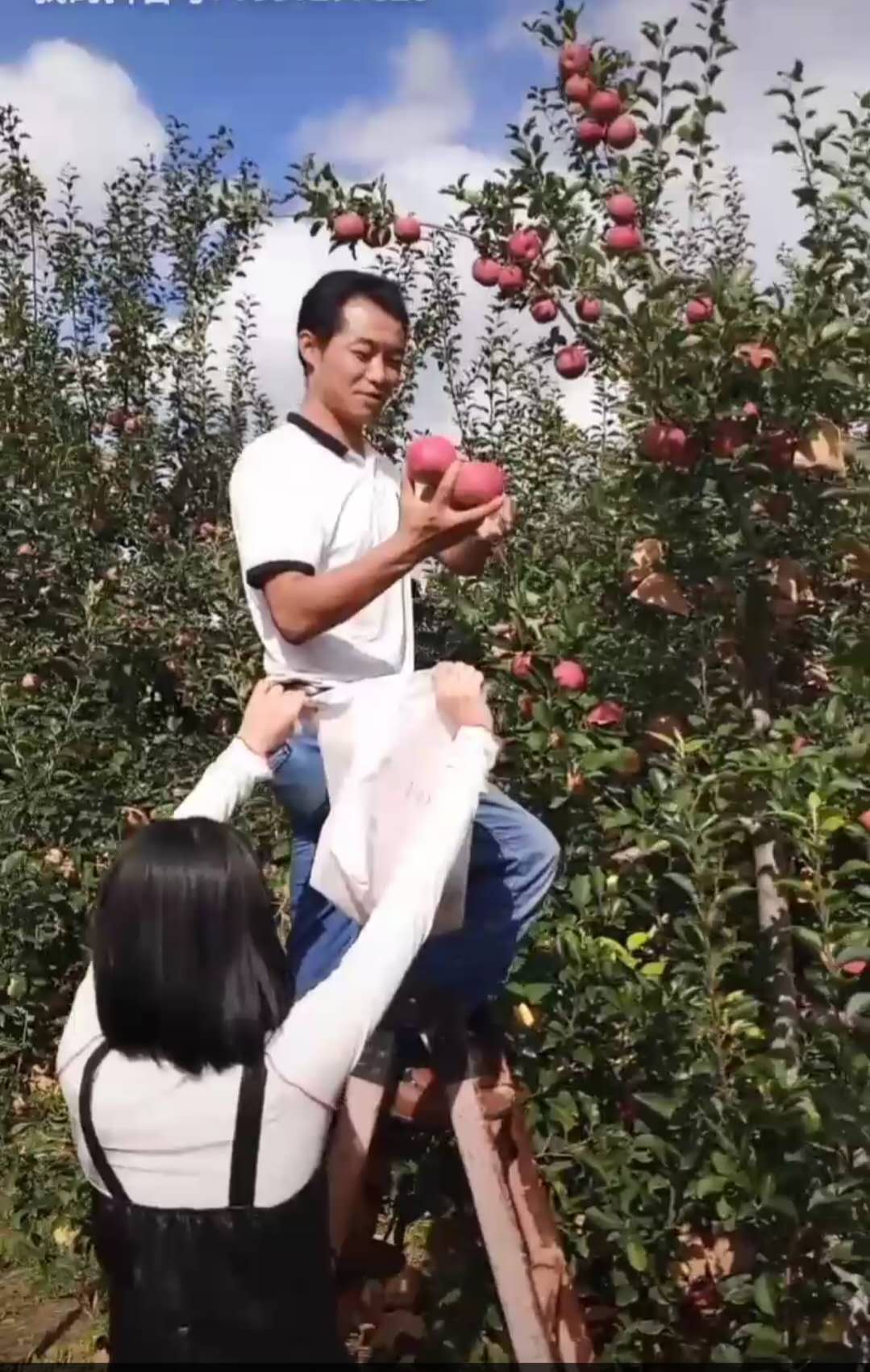 27、馬科.jpg