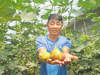 <p>　　蜜瓜、無花果、奶牛養(yǎng)殖……月牙湖鄉(xiāng)抓住產(chǎn)業(yè)扶貧這個關(guān)鍵詞，推進(jìn)一二三產(chǎn)業(yè)融合發(fā)展。</p>