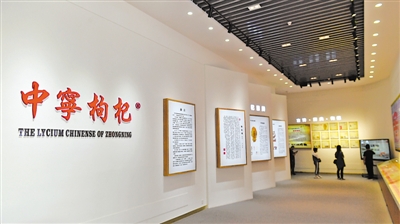 <p>　　寧夏大學(xué)枸杞職業(yè)技術(shù)繼續(xù)教育學(xué)院枸杞文化長廊展示枸杞歷史文化。依托院校資源，中寧縣大力培養(yǎng)枸杞苗木繁育、電子商務(wù)、冷鏈倉儲、科技推廣等方面的專業(yè)技術(shù)人才?！　　　　　　　　　　　　　　　　　　　　　　　　　　　　　　　　　　　　　　　　　　　　　”緢笥浾摺⊥醵Αz</p>