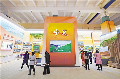 寧夏展區(qū)借助實物、模型、圖片、裸眼3D技術(shù)等，展示了黨的十八大以來寧夏所取得的不凡成就。